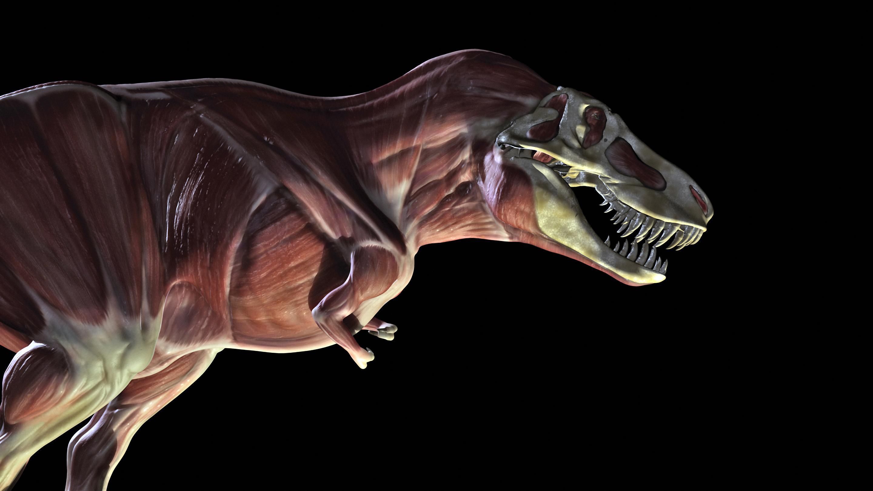 巴塔哥巨龙最大恐龙背后的真相 - 知乎
