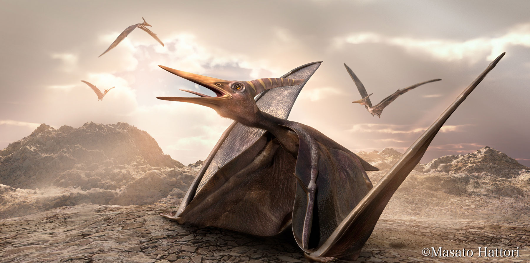 翼手龙（带动画）翼指龙 翼龙 恐龙 飞龙 飞兽 飞禽 怪物 生物 蜥蜴 白垩纪 飞行 暴龙-cg模型免费下载-CG99