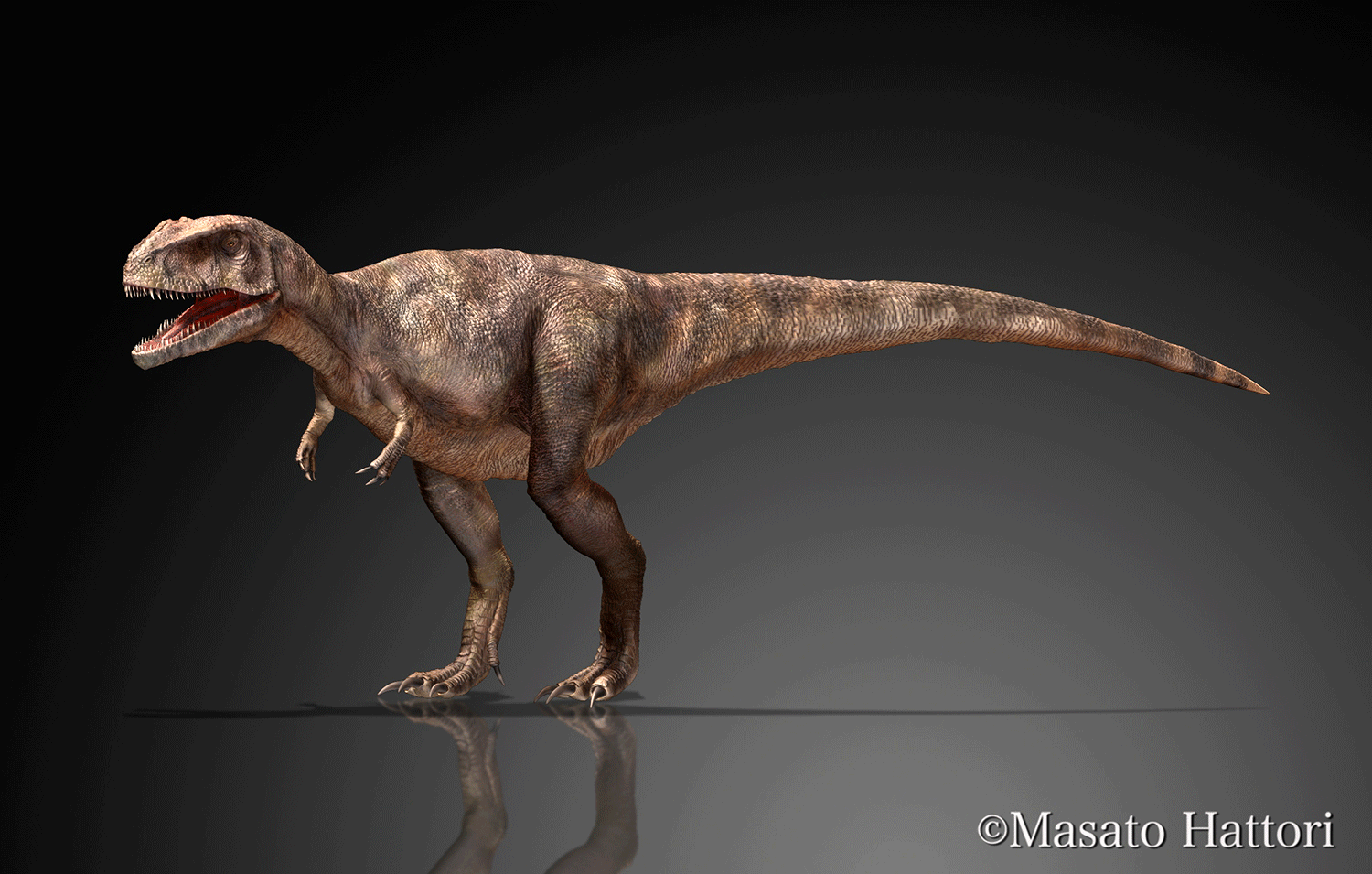 侏罗纪恐龙—沧龙苍龙深海恐龙海底生物Mosasaurus带骨模型-恐龙模型库-Maya(.ma/.mb)模型下载-cg模型网