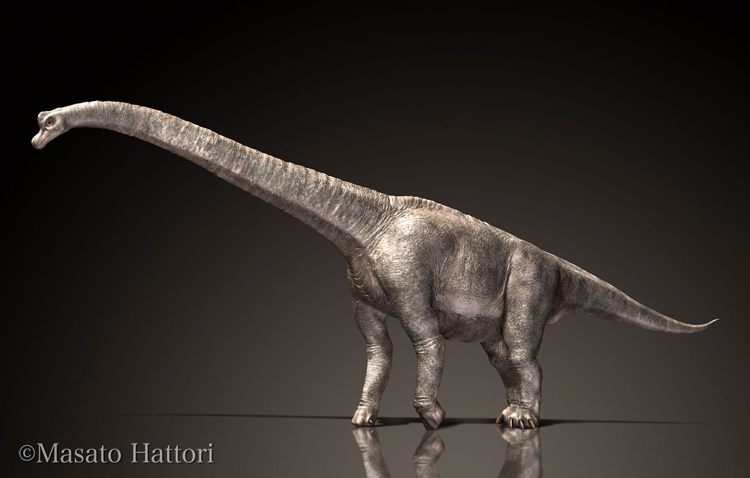 阿根廷晚白垩世发现目前化石最完整的巨型巨龙类——施氏无畏龙 - 神秘的地球 科学|自然|地理|探索