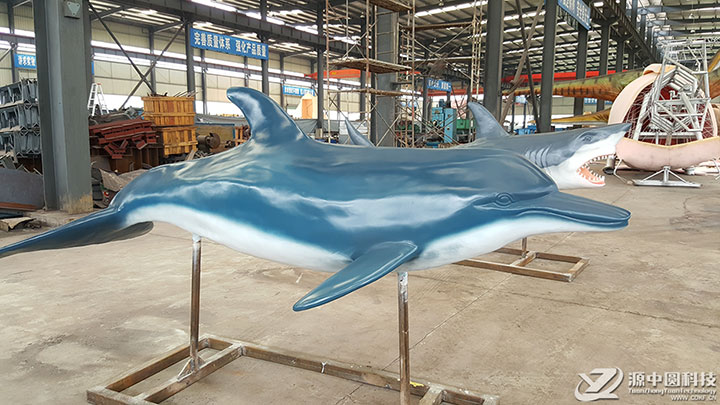 海豚解剖模型