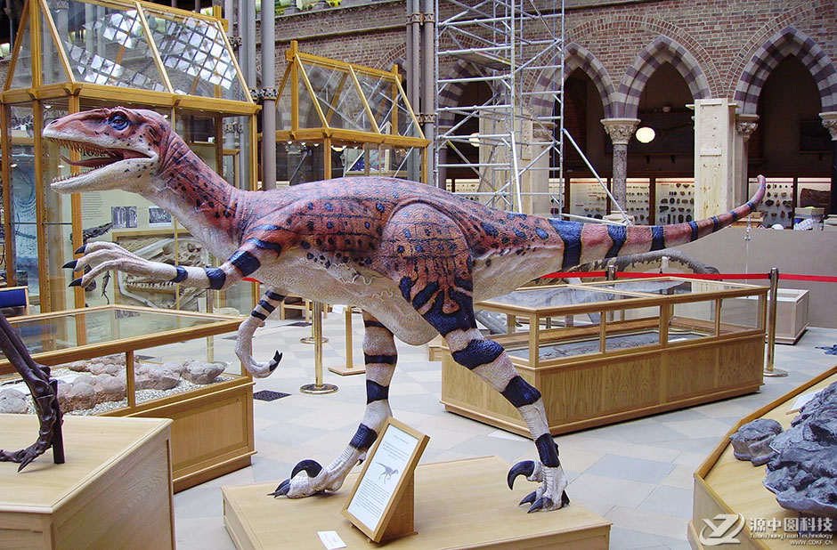 仿真恐龙模型 恐龙定制模型 仿真恐龙工厂