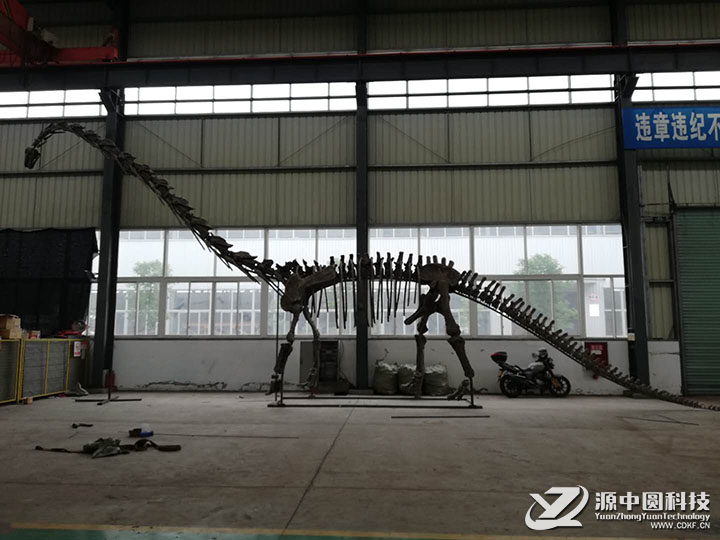 恐龙化石 梁龙化石 恐龙模型 仿真恐龙 电动仿真恐龙  恐龙模型工厂 恐龙制造商