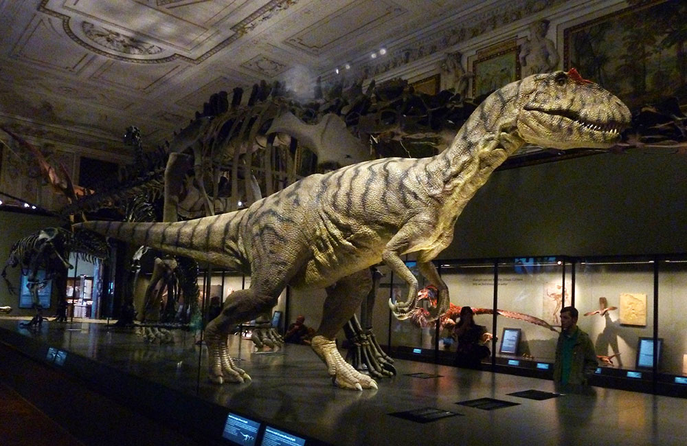 博物馆里面的异特龙机模  恐龙机模 恐龙雕塑
