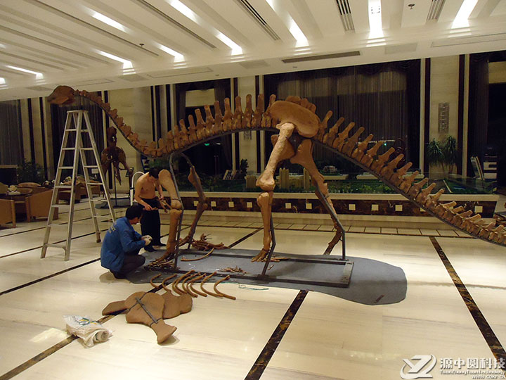 仿真恐龙化石制作 仿真恐龙化石出租  