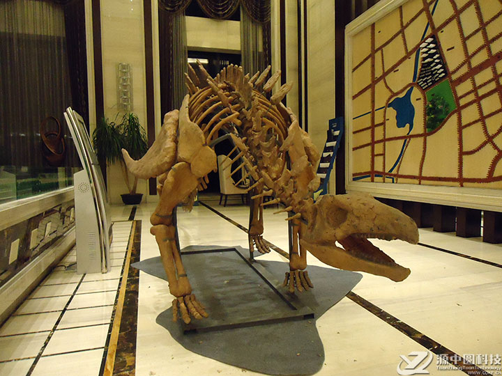 仿真恐龙化石制作 仿真恐龙化石出租