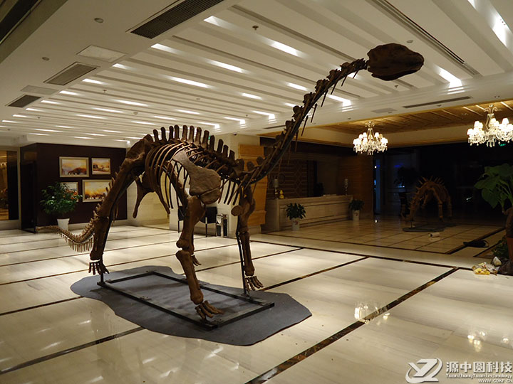 仿真恐龙化石 恐龙骨架模型 仿真恐龙化石模型
