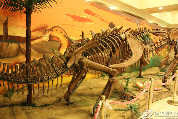 恐龙化石景观 仿真恐龙景观 恐龙景观打造