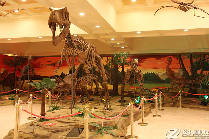 恐龙化石景观 仿真恐龙景观 恐龙景观打造
