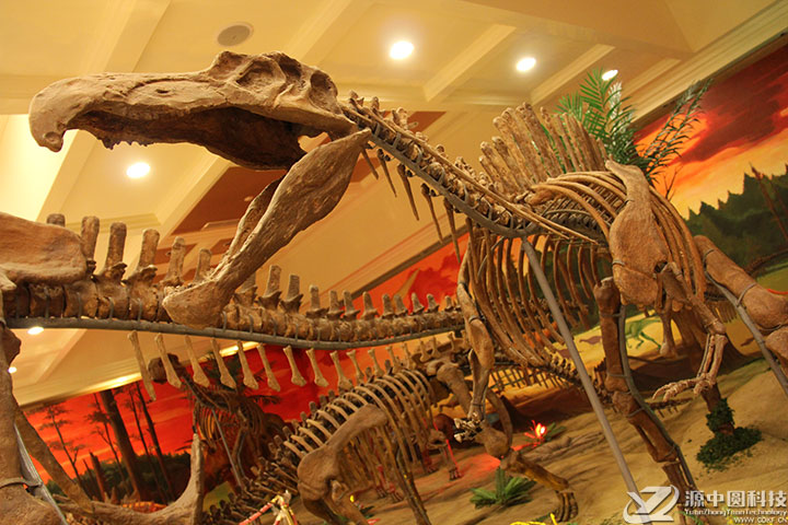 恐龙化石景观 仿真恐龙景观 恐龙景观打造
