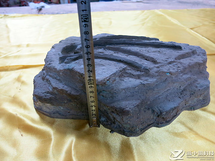 仿真恐龙化石 恐龙化石道具 