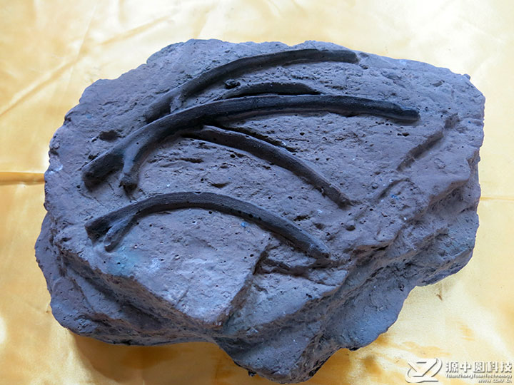 仿真恐龙化石 恐龙化石道具 