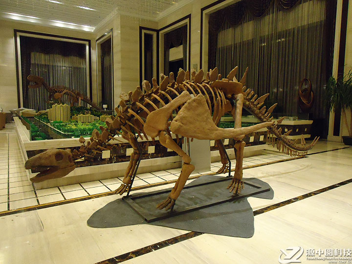 仿真恐龙化石  恐龙化石模型 