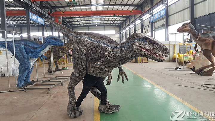 仿真恐龙皮套 定制恐龙皮套厂家 恐龙服装定制