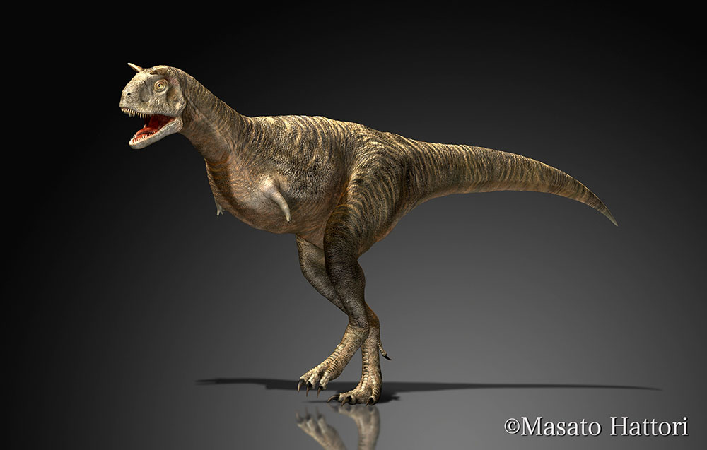 食肉牛龙，恐龙图片下载，恐龙图片