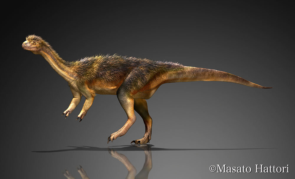 chilesaurus, 恐龙图片，恐龙图库