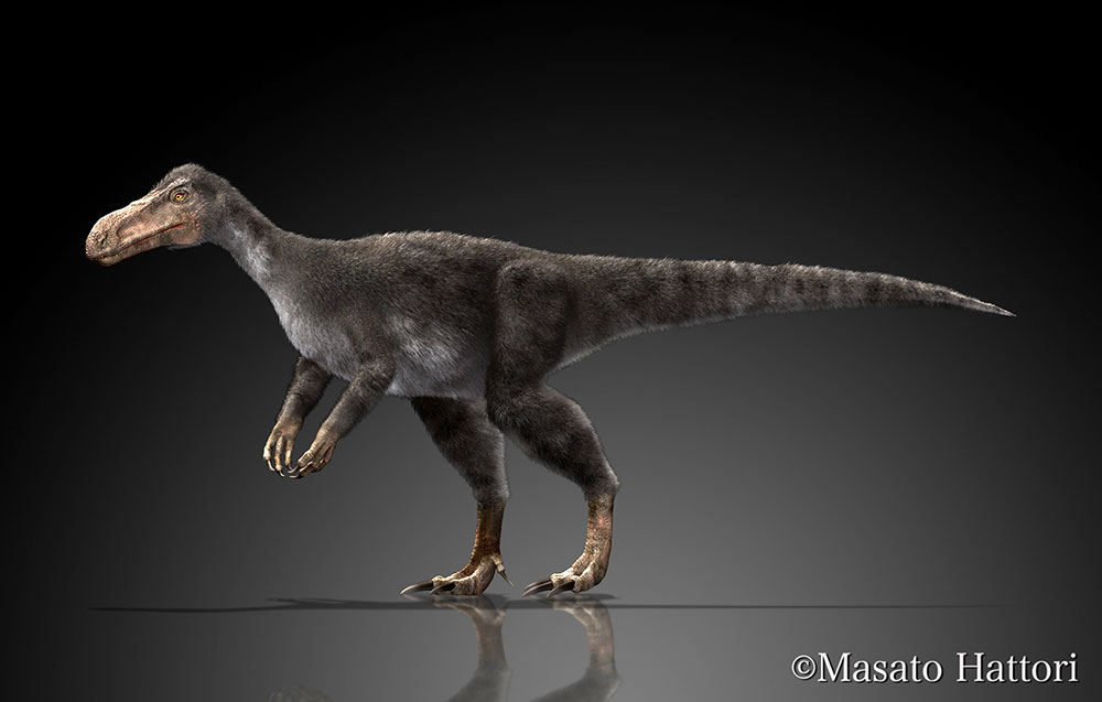 帝龙，恐龙图片，恐龙图库