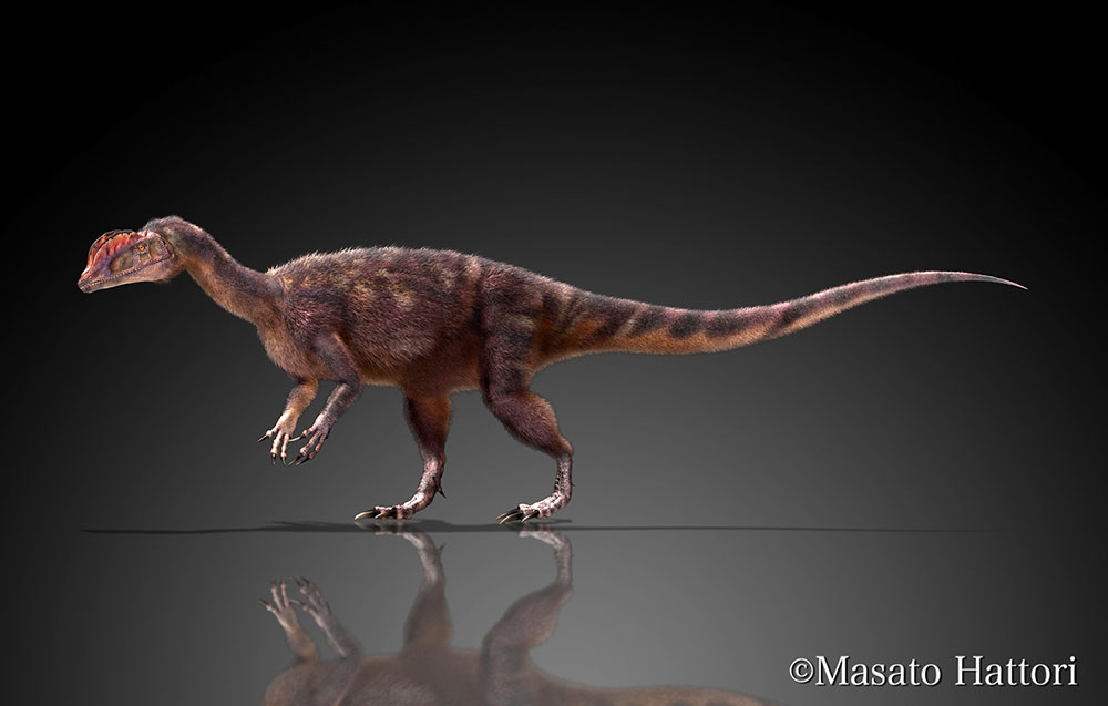 双冠龙，恐龙图库，恐龙图片