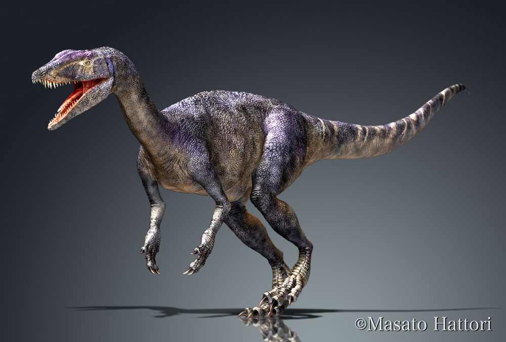 哥斯拉龙，恐龙图片，恐龙图库