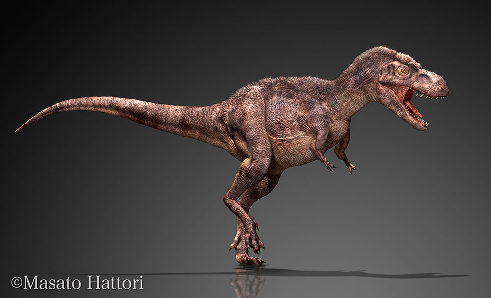 戈尔冈龙，恐龙图片，恐龙图库