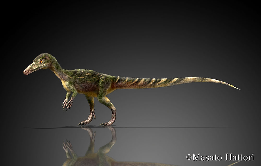 侏罗猎龙，恐龙图片，恐龙图库