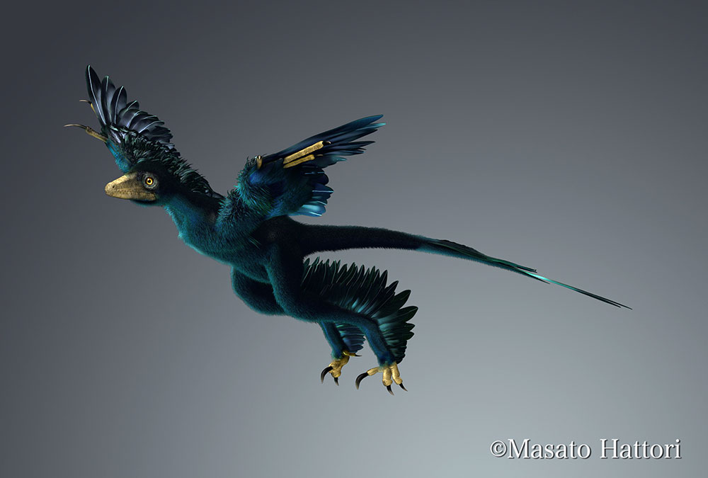 小盗龙，恐龙头，恐龙图库，高清恐龙图