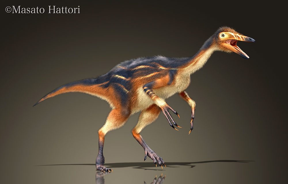 神州龙，恐龙图片，恐龙图库