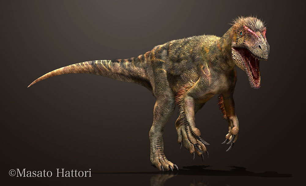 Siats meekerorum，恐龙图片，恐龙图库