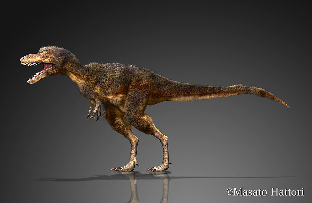 帖木儿龙，恐龙图片，恐龙图库