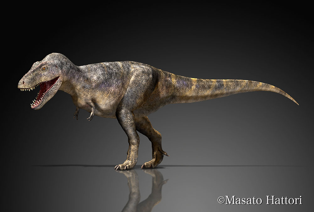 霸王龙 stan，恐龙图片，恐龙图库