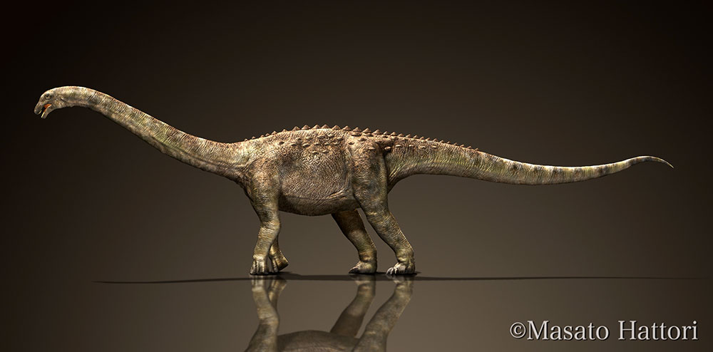 冈瓦纳巨龙，恐龙图库，恐龙图片