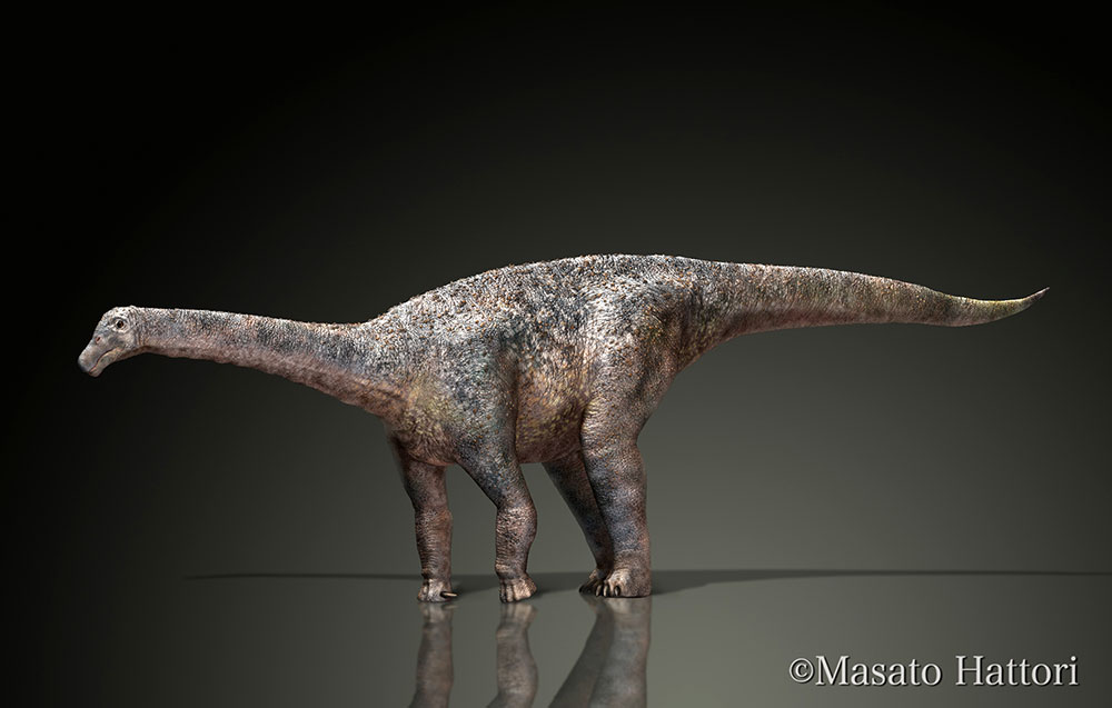 马扎尔龙，恐龙图片，恐龙图库