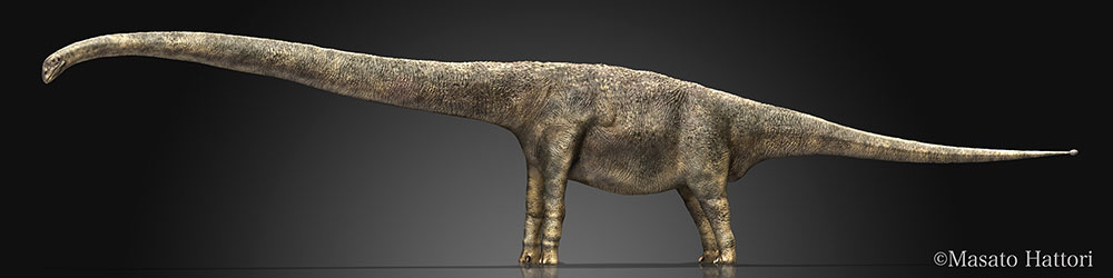 马门溪龙，恐龙图片，恐龙图库