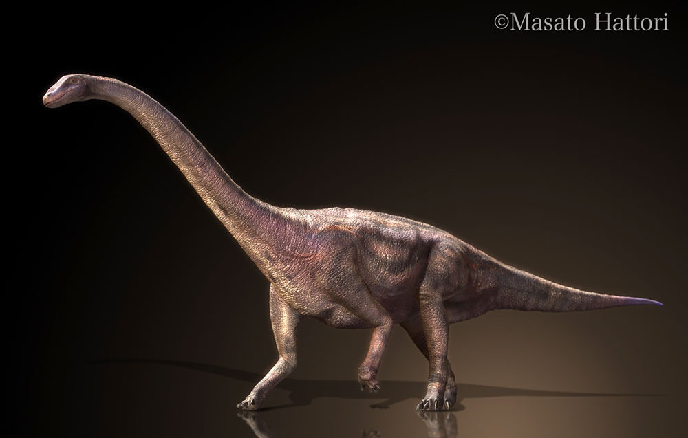 里澳哈龙，恐龙图片，恐龙图库