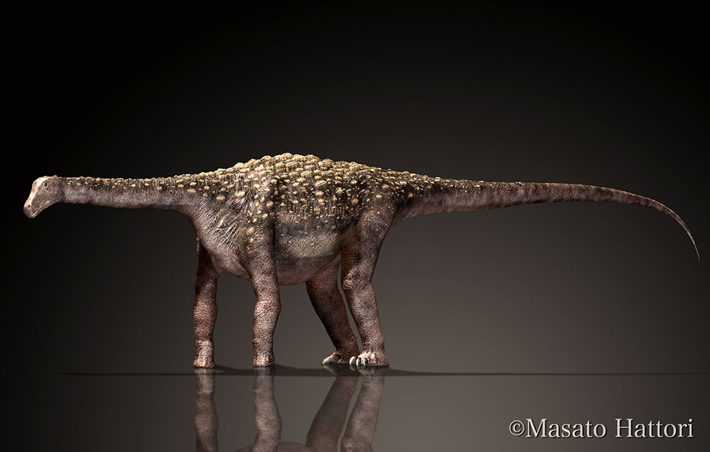 萨尔塔龙，恐龙图库，恐龙图片