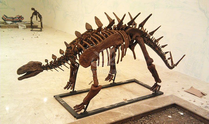 玻璃钢恐龙化石骨架雕塑工厂