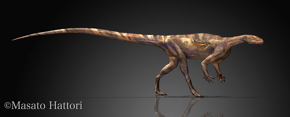 槽齿龙_恐龙种类_恐龙品种分类名称大全恐龙品类图片