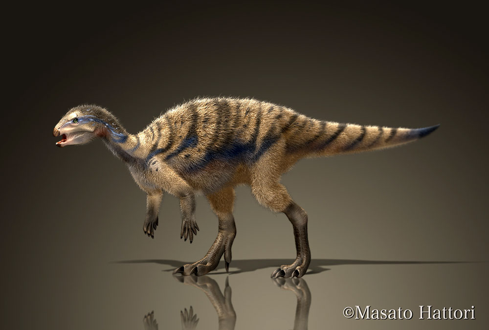 白峰龙，恐龙图片，恐龙图库