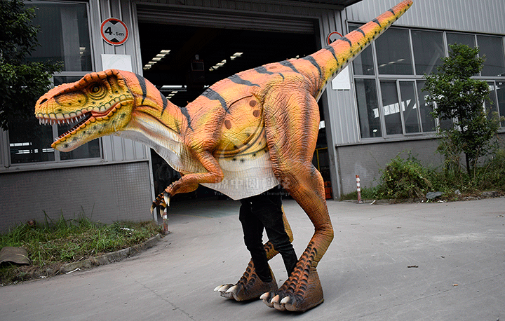 恐龙皮套需要根据演员的身高和鞋码来定制