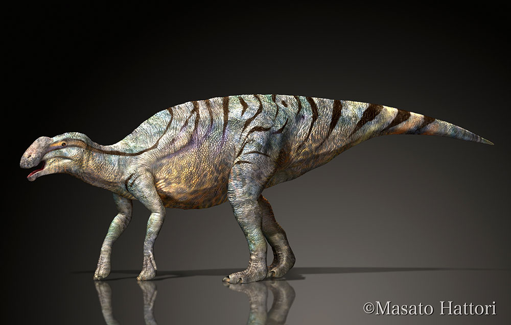 恐龙图片，恐龙图库