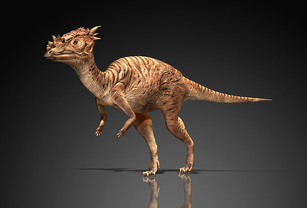 恐龙品种，恐龙图片，恐龙图库