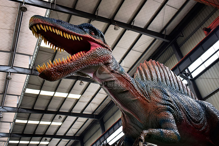 电动棘龙机械调试