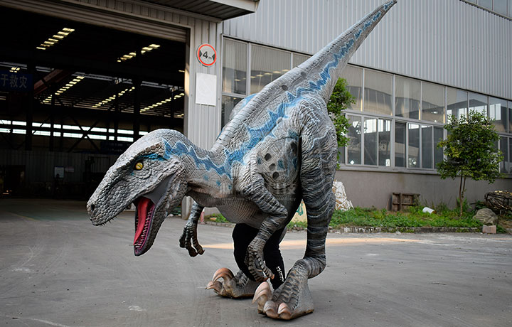 恐龙皮套需要根据演员的身高和鞋码来定制