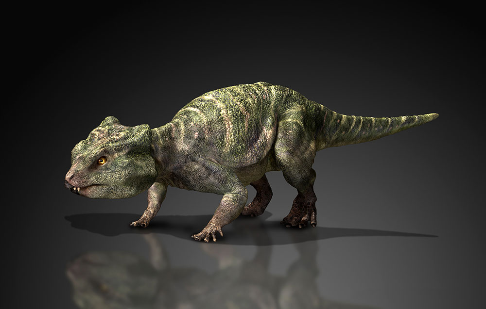 恐龙图片大全，恐龙种类，恐龙品种