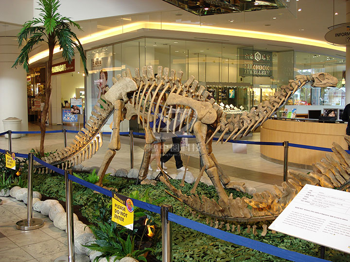 户外展示的恐龙化石模型