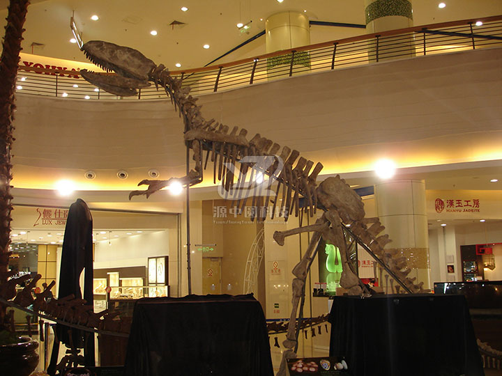 恐龙化石模型开启史前时光之旅