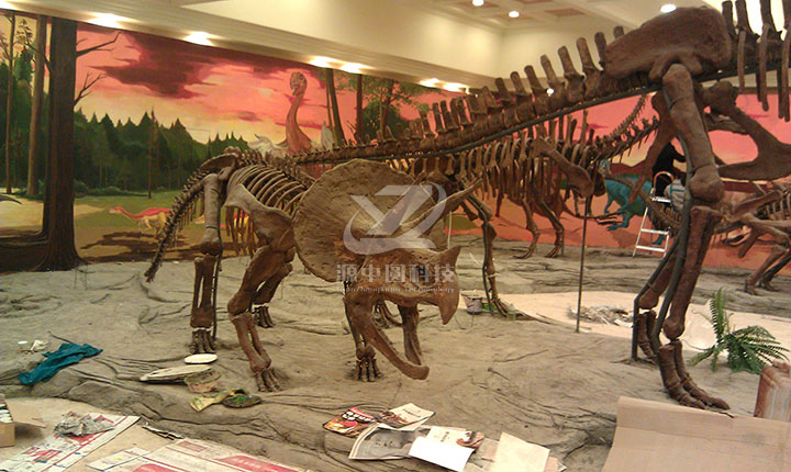 博物馆定制恐龙化石模型