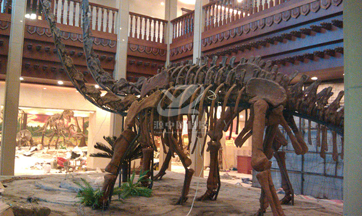 大型仿真恐龙化石骨架定制