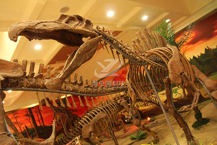 仿真恐龙化石在商场布局展览