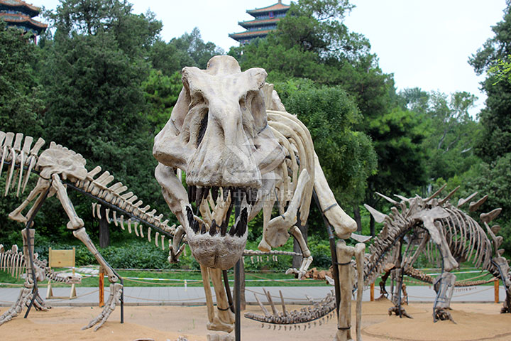如何在公园和景区中利用仿真恐龙骨骼营造丰富多彩的体验